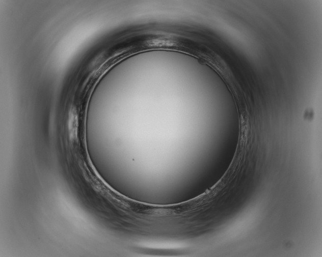 X0000115431151200911181454