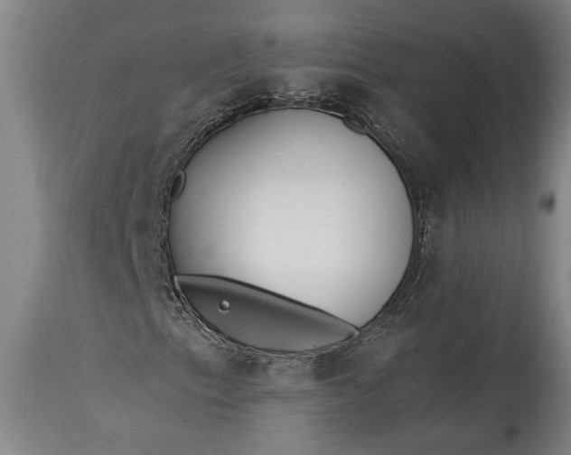 X0000115431153200911181454