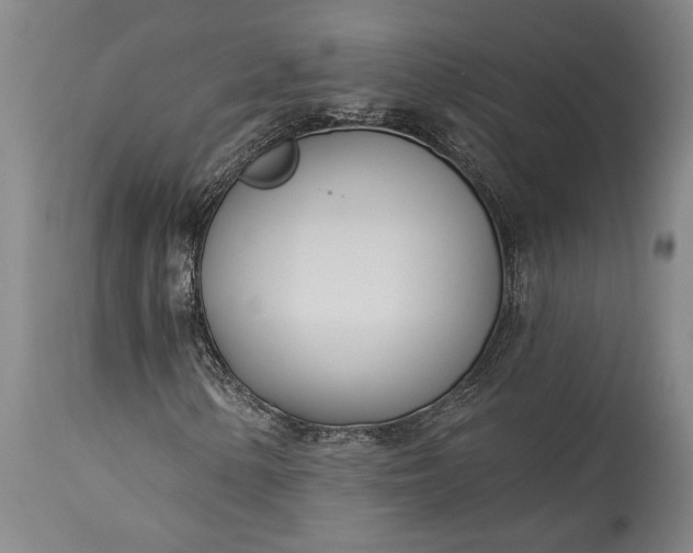 X0000115431154200911181454