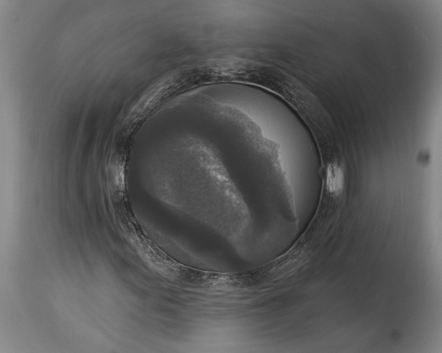 X0000115431155200911181454