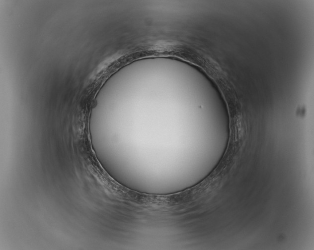 X0000115431158200911181453