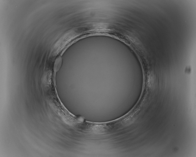 X0000115431161200911181453