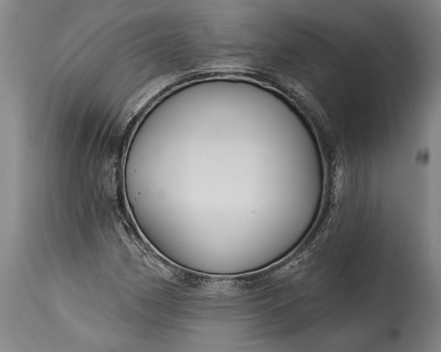 X0000115431162200911181453