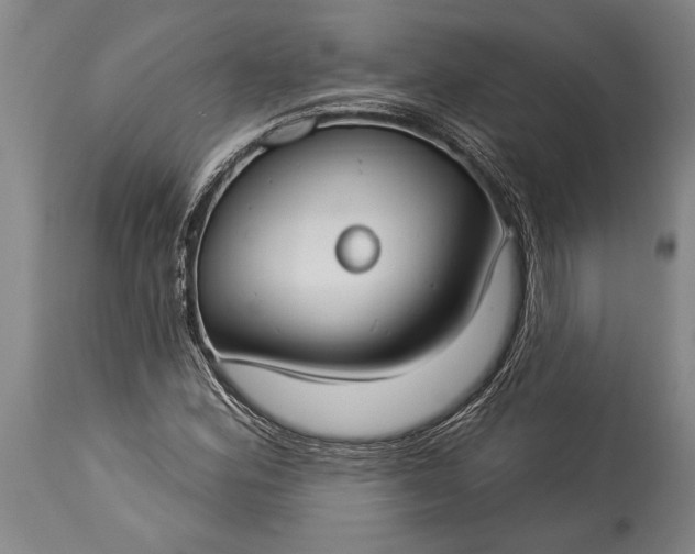 X0000115431164200911181453