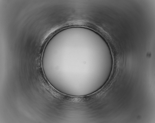 X0000115431166200911181453