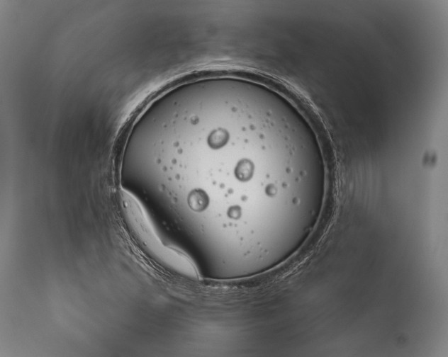 X0000115431167200911181453