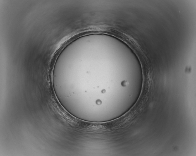 X0000115431168200911181453