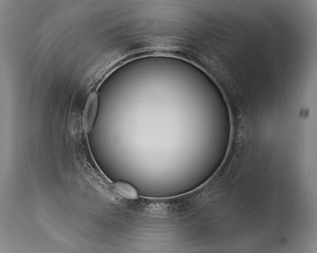 X0000115431169200911181453