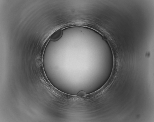 X0000115431170200911181453