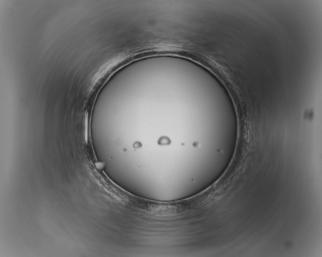 X0000115431171200911181453