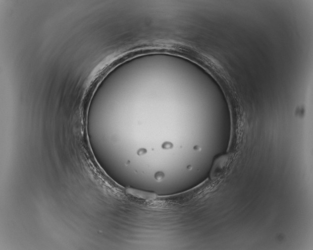 X0000115431172200911181453