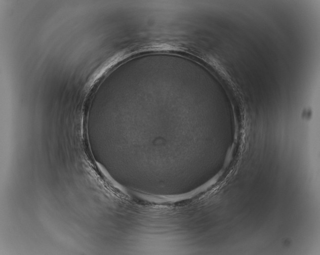 X0000115431173200911181453