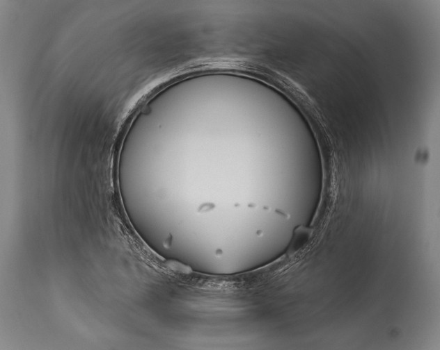 X0000115431174200911181453