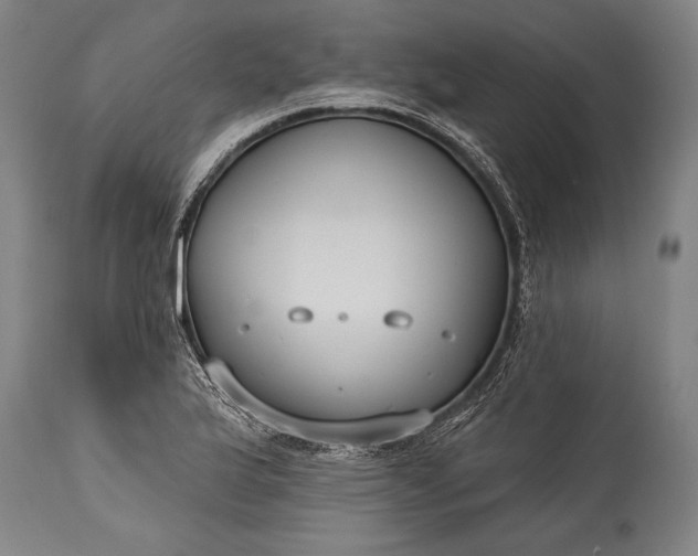 X0000115431175200911181453