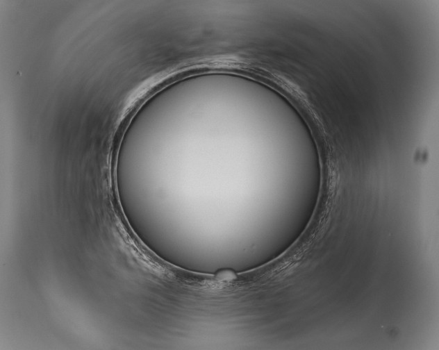 X0000115431176200911181453