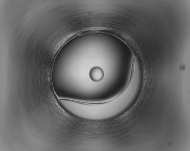 X0000115431177200911181453