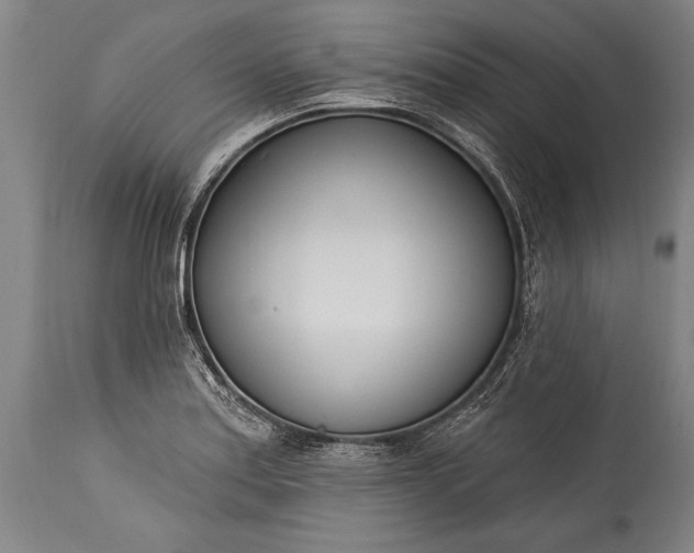 X0000115431179200911181453