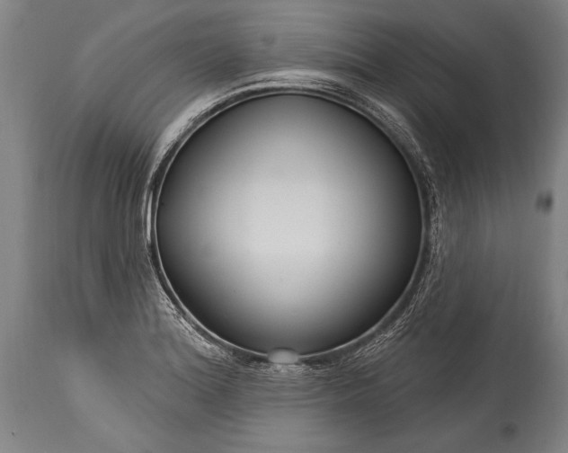 X0000115431180200911181453