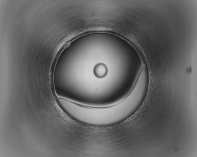 X0000115431181200911181453