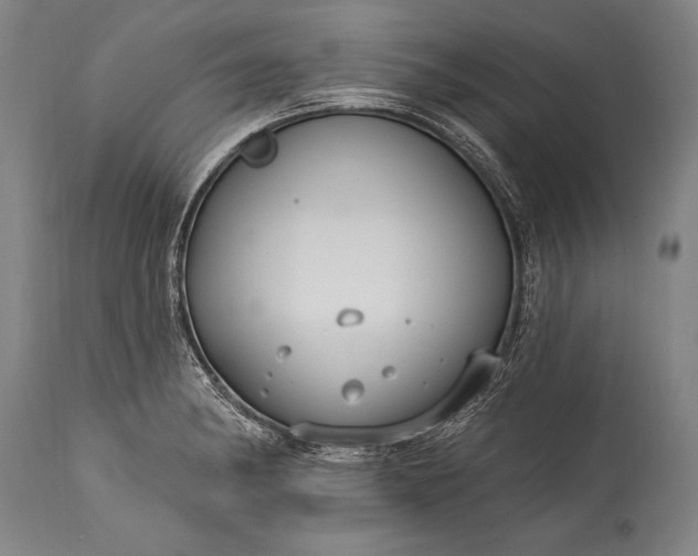 X0000115431182200911181453