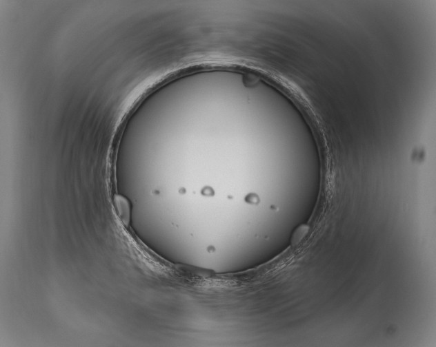 X0000115431183200911181453