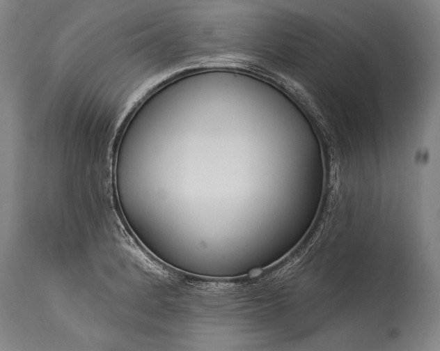 X0000115431184200911181453