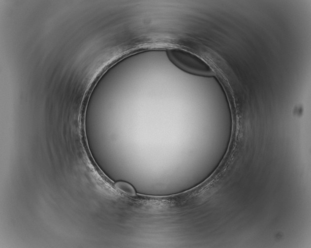 X0000115431189200911181453