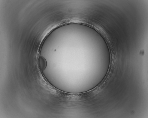 X0000115431190200911181453