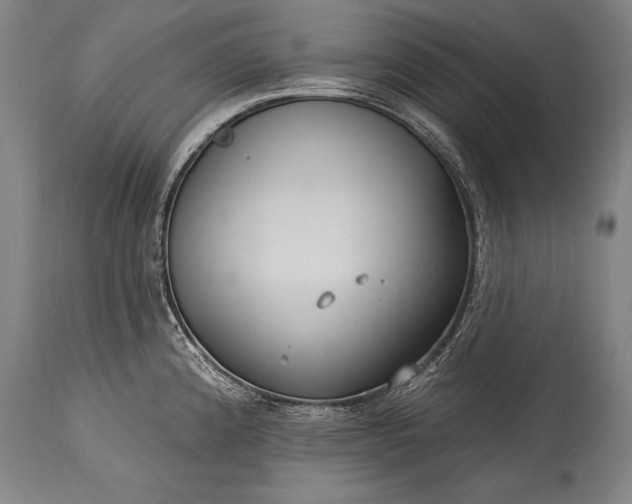 X0000115431192200911181453