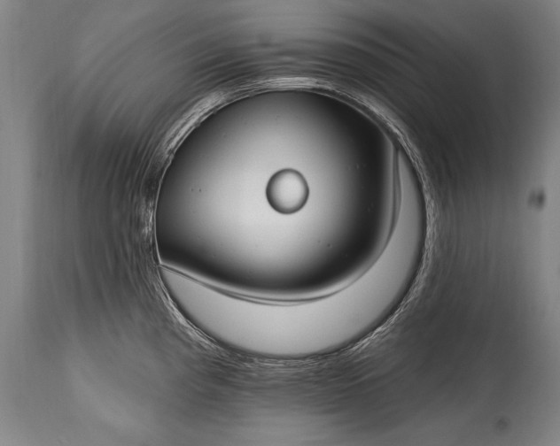 X0000115431193200911181453