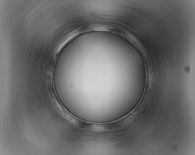 X0000115431194200911181453