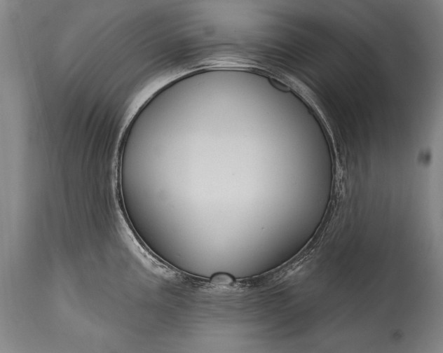 X0000115431195200911181453