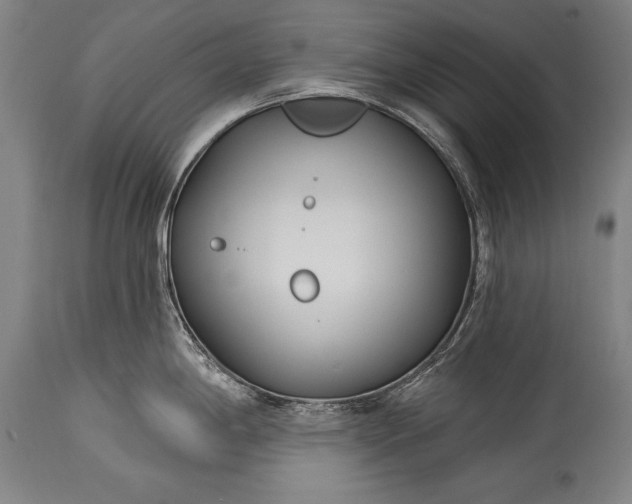 X0000115431198200911181453