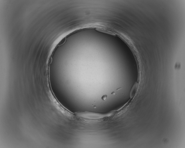 X0000115431200200911181453