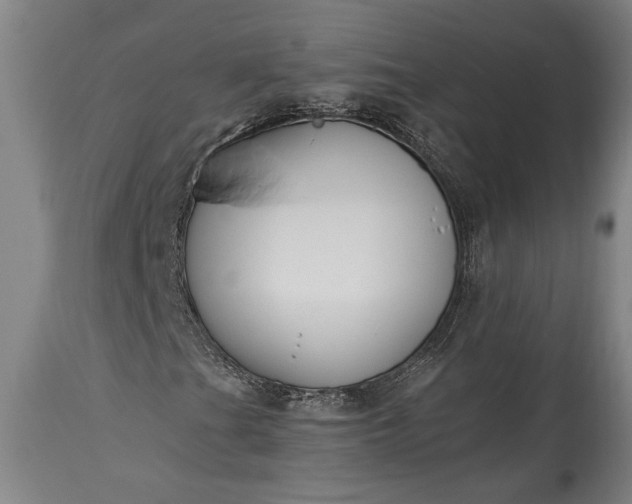 X0000115431201200911181452