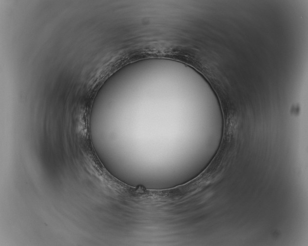 X0000115431202200911181452