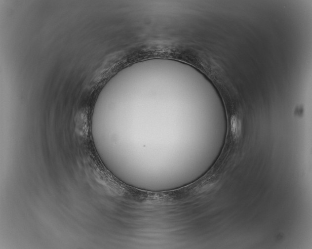 X0000115431203200911181452