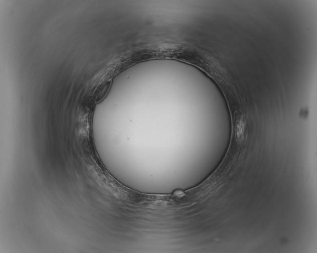 X0000115431204200911181452