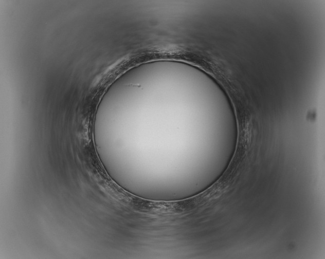 X0000115431205200911181452