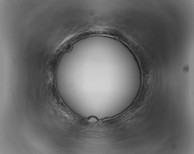 X0000115431206200911181452