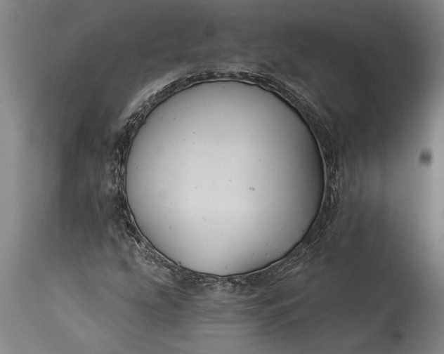 X0000115431207200911181452