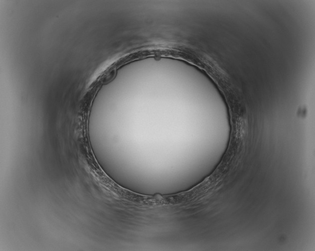 X0000115431208200911181452