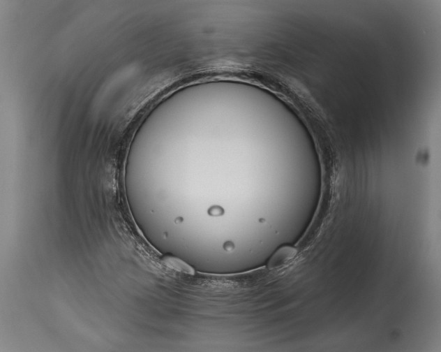 X0000115431209200911181452