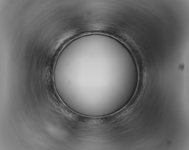 X0000115431210200911181452