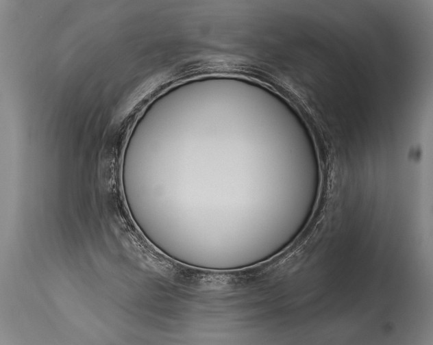 X0000115431211200911181452