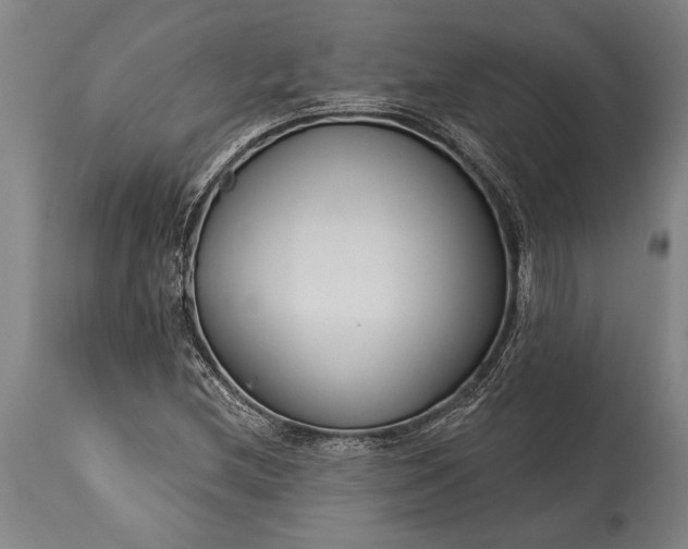 X0000115431212200911181452