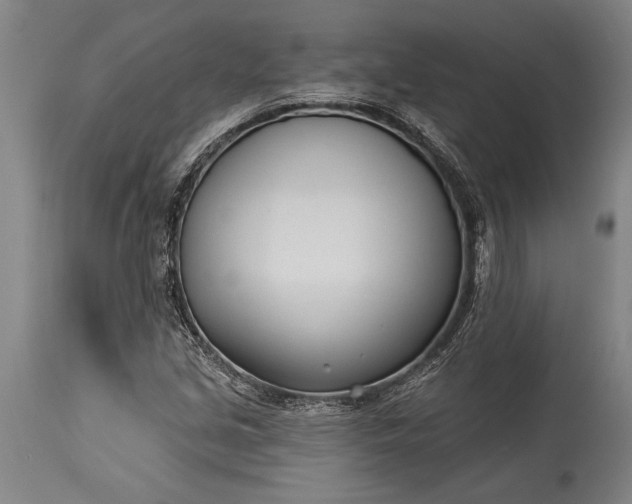 X0000115431213200911181452