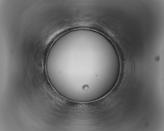 X0000115431214200911181452