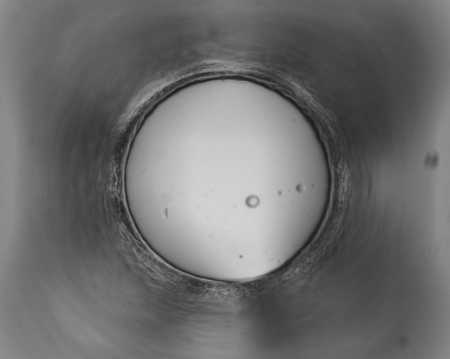 X0000115431215200911181452