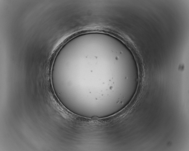 X0000115431216200911181452